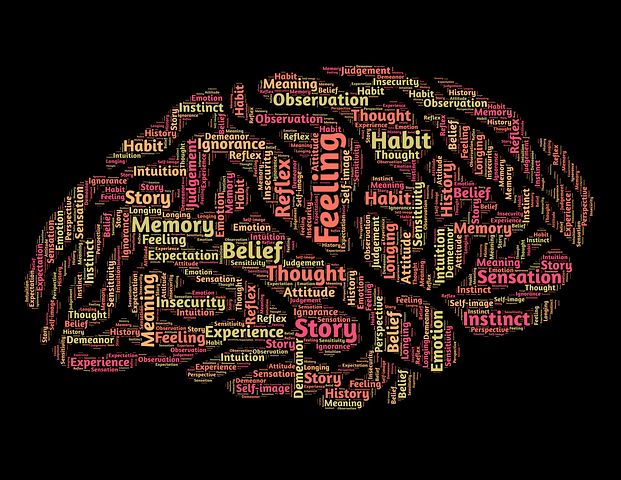 brain illustration with emotion words